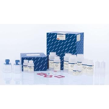 EndoFree Plasmid Giga Kit (5)，12391，Qiagen，凯杰
