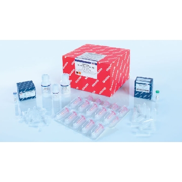 miRNeasy Serum/Plasma Kit (50)，217184，Qiagen，凯杰