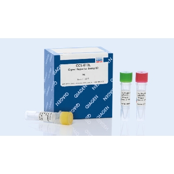Cignal Reporter Assay Kit，336841，Qiagen，凯杰