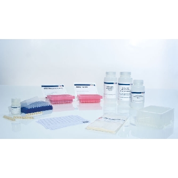 Rneasy Plus 96 Kit (12)，74192，Qiagen，凯杰