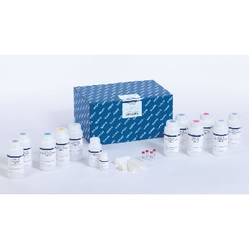 RNase Inhibitor Hu (10000 U)，RT35-100，Qiagen，凯杰