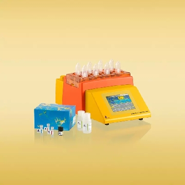 Spleen Dissociation Kit, mouse，130-095-926，美天旎