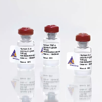 Human IL-2 IS premium grade 1000 µg，130-097-748，美天旎