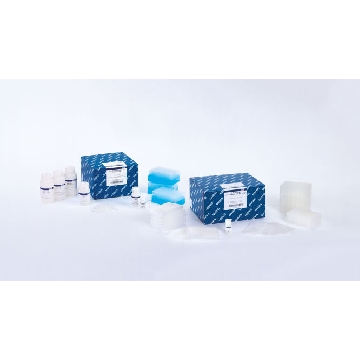 MagAttract PowerSoilPro DNA EP Kit (384)，47119，Qiagen，凯杰