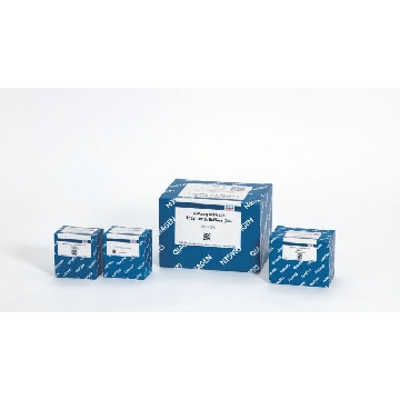 QIAseq UPXome RNA Lib Kit Worm (24)，334752，Qiagen，凯杰