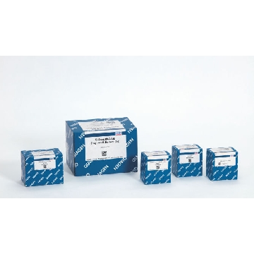 QIAseq UPXome Dual RNA-seq Lib Kit (96)，334715，Qiagen，凯杰