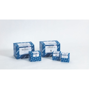 QIAseq UPXome Dual RNA-seq Lib Kit (24)，334712，Qiagen，凯杰