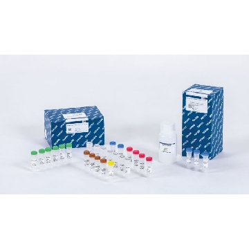 QIAseq Targeted RNA Panel Mouse TCR (96)，334685，Qiagen，凯杰