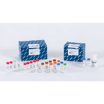 QIAseq Targeted RNA Panel Mouse TCR (12)，334671，Qiagen，凯杰
