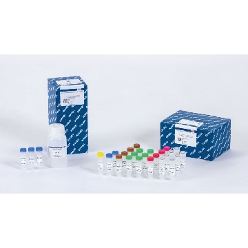 QIAseq Targeted RNA Panel Human TCR (96)，334665，Qiagen，凯杰