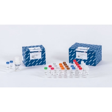 QIAseq Targeted RNA Panel Human TCR (12)，334651，Qiagen，凯杰