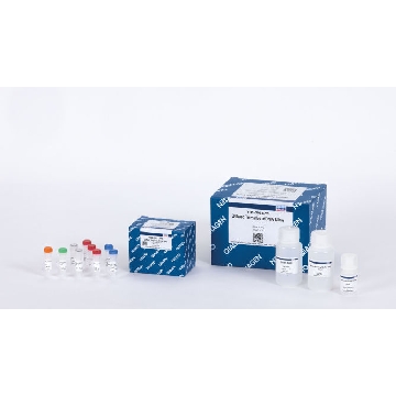 QIAseq Targeted cfDNA Ultra Booster (96)，334085，Qiagen，凯杰