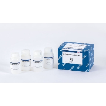 QIAseq Beads (400mL)，333927，Qiagen，凯杰