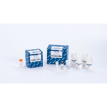 QIAseq Library Normalizer Kit (96)，180605，Qiagen，凯杰