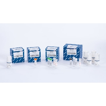 QIAseq Universal Normalizer Kit (96)，180615，Qiagen，凯杰