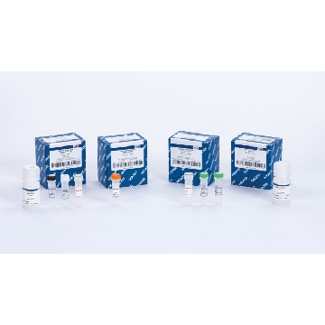 QIAseq Universal Normalizer Kit (24)，180613，Qiagen，凯杰