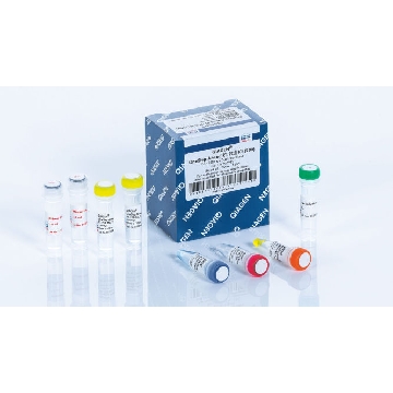 OneStep Ahead RT-PCR Kit (50)，220211，Qiagen，凯杰
