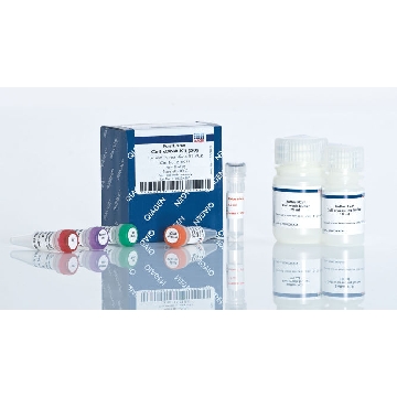 FastLane Cell cDNA Kit (50)，215011，Qiagen，凯杰