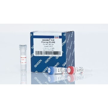 QIAGEN PCR Cloning Kit (40)，231124，Qiagen，凯杰