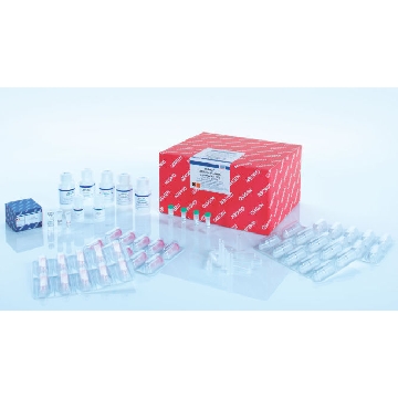 AllPrep DNA/RNA/miRNA Universal Kit (50)，80224，Qiagen，凯杰