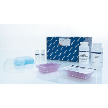 QIAquick 96 PCR Purification Kit (4)，28181，Qiagen，凯杰