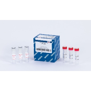 Taq PCR Master Mix Kit (250 U)，201443，Qiagen，凯杰