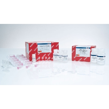 RNeasy Protect Bacteria Mini Kit (50)，74524，Qiagen，凯杰
