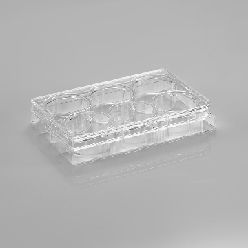 6 孔细胞培养板，独立包装，100/箱，CL-P006，铂杰
