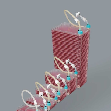 细胞工厂配件，3/8 MPC公与CF连接器，国产，1/袋，CFA-38P-AF，铂杰