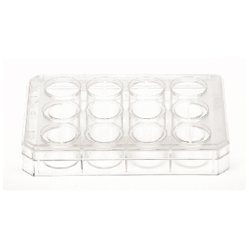 12孔板；带盖；包装1/6；无菌，UpCell表面，UpCell 12 Well Multidish - NEW!，174900，Nunc