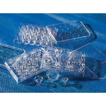 Transwell-膜嵌套，透明，24mm膜直径，0.4um孔径PE（聚酯）膜，TC表面，灭菌，12个/包/4包/箱，TW CLR,6.5MM,0.4UM,TCT,PE,S,PE,12PL/48，型号3470，Corning，康宁