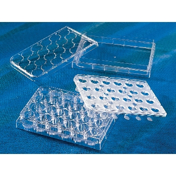 HTS，TRANSWELL-24膜嵌套，0.4uM孔径，PET(聚酯）膜，散装，12个/包/1包/箱，TRANSWELL,HTS,24WL,0.4UM,PET MEMBRANE,PERMEABLE SUPPORT,S,12/12，型号3378，Corning，康宁