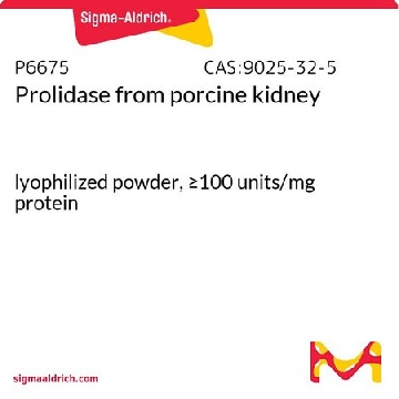 脯氨酸二肽酶 来源于猪肾脏，250UNITS，P6675-250UN，Sigma