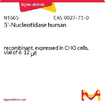 5′-核苷酸酶 人，1VIAL，N1665-1VL，Sigma