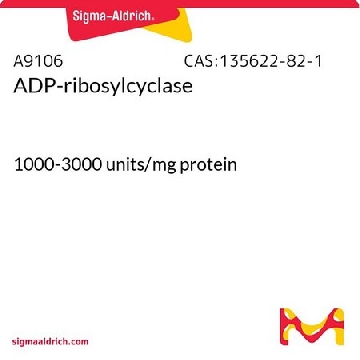 ADP-核糖环化酶，1VIAL，A9106-1VL，Sigma