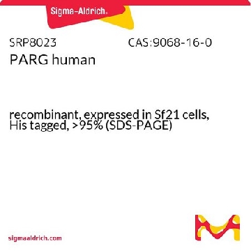 PARG human，2UG，SRP8023-2UG，Sigma