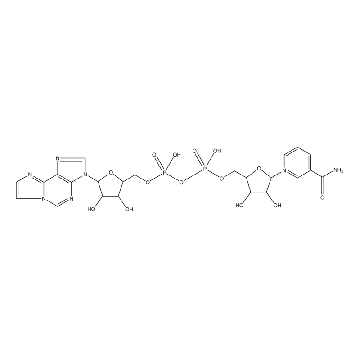 烟酰胺1，N⁶-乙烯基腺嘌呤二核苷酸，25MG，N2630-25MG，Sigma