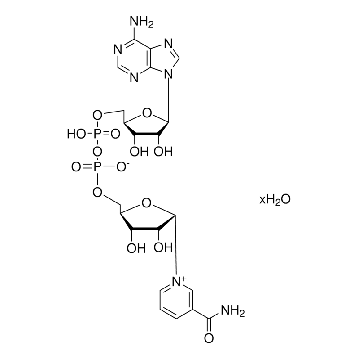 NAD，1G，10127981001，Roche