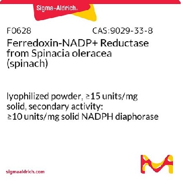 铁氧化还原蛋白-NADP  +  还原酶 来源于菠菜，1UNIT，F0628-1UN，Sigma