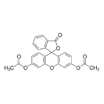 荧光素二乙酸盐，5G，F7378-5G，Sigma
