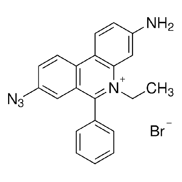 溴化乙锭单叠氮化物，5MG，E2028-5MG，Sigma