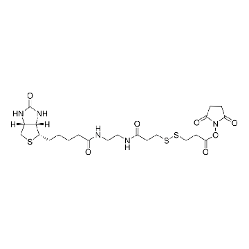 3-[3-[2-(生物素酰胺)乙基]氨基-3-氧代丙基]二硫基]丙酸琥珀酰亚胺酯，10MG，B4531-10MG，Sigma