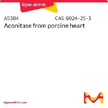 Aconitase from porcine heart，250MG，A5384-250MG，Sigma