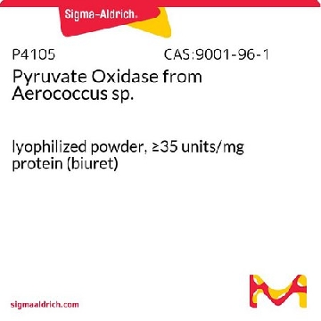 丙酮酸氧化酶 来源于气球菌 属，100UNITS，P4105-100UN，Sigma