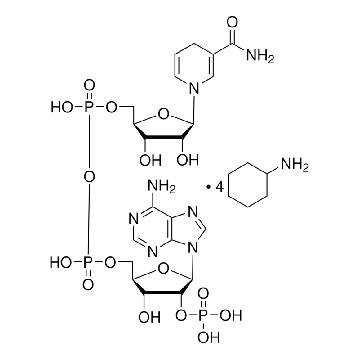 还原型 β-烟酰胺腺嘌呤二核苷酸磷酸 四环己铵盐，25MG，N5130-25MG，Sigma