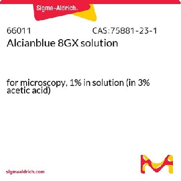 阿尔新蓝 8GX 溶液，100ML，66011-100ML-F，Sigma