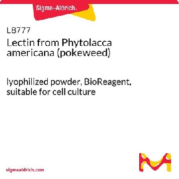 来自美洲商陆（商陆）的凝集素，5MG，L8777-5MG，Sigma