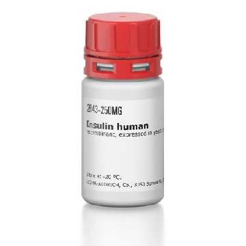 胰岛素 人，50MG，I2643-50MG，Sigma