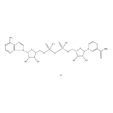 还原型 β-烟酰胺腺嘌呤二核苷酸 二钾盐，500MG，N4505-500MG，Sigma