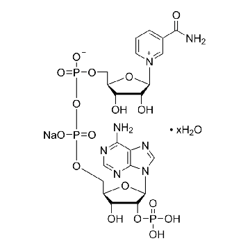 β-烟酰胺腺嘌呤二核苷酸磷酸 水合物，100MG，N0505-100MG，Sigma